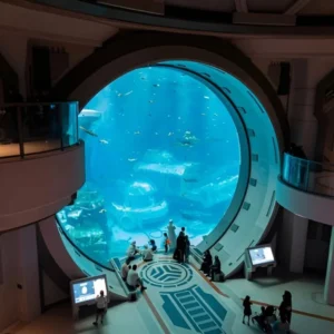 SeaWorld Abu Dhabi