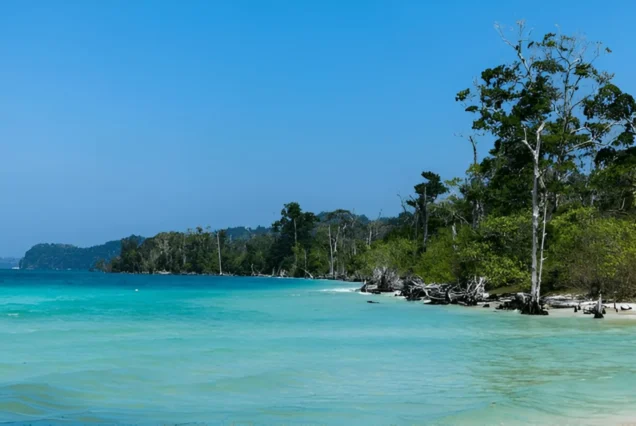 Andaman Explorer: Sunsets, Sea Adventures & Serenity