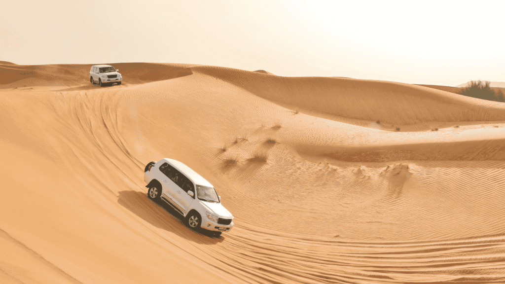 Desert Safari Experience