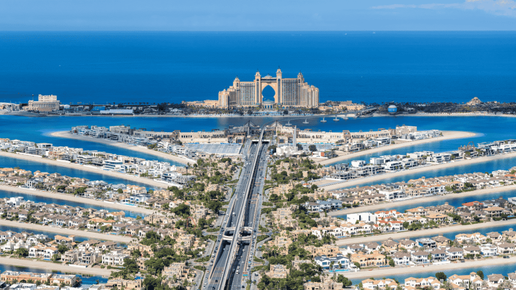 The View at The Palm