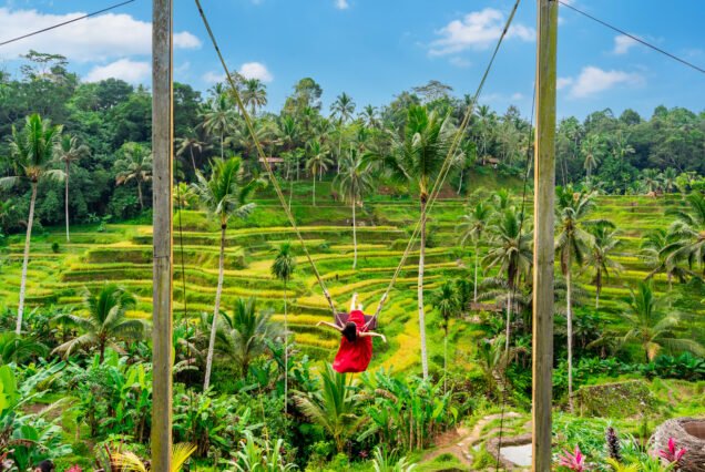Ubud Art and Swing Tour